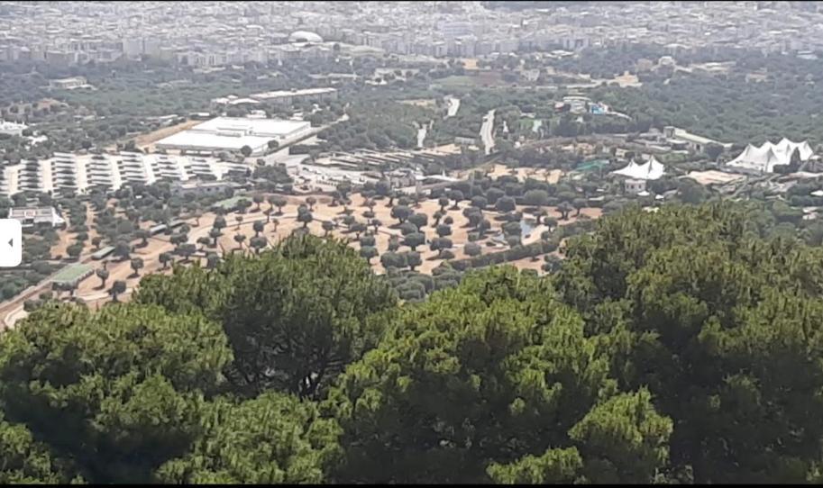 Trullo Dell'immacolata - Gestita Da Suore Hotel *